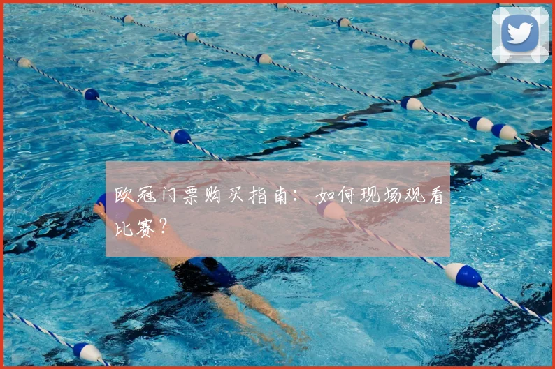 欧冠门票购买指南：如何现场观看比赛？