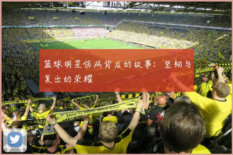 篮球明星伤病背后的故事：坚韧与复出的荣耀