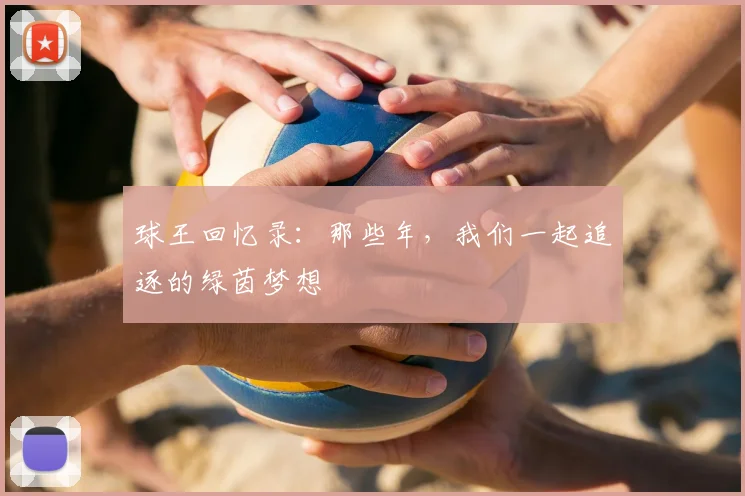 球王回忆录：那些年，我们一起追逐的绿茵梦想