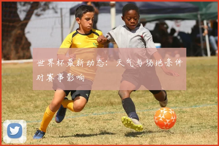 世界杯最新动态：天气与场地条件对赛事影响